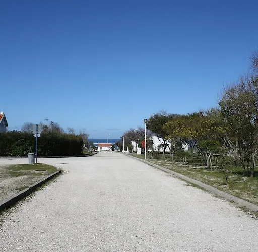 营地 By Campigir *